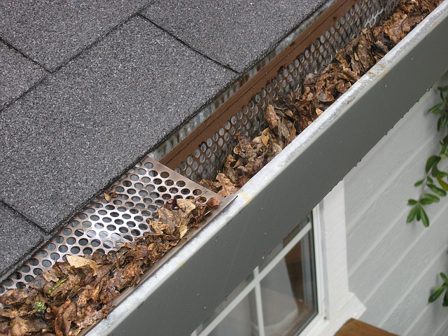 gutters, cleaning, maintaining gutters, home maintenance, service