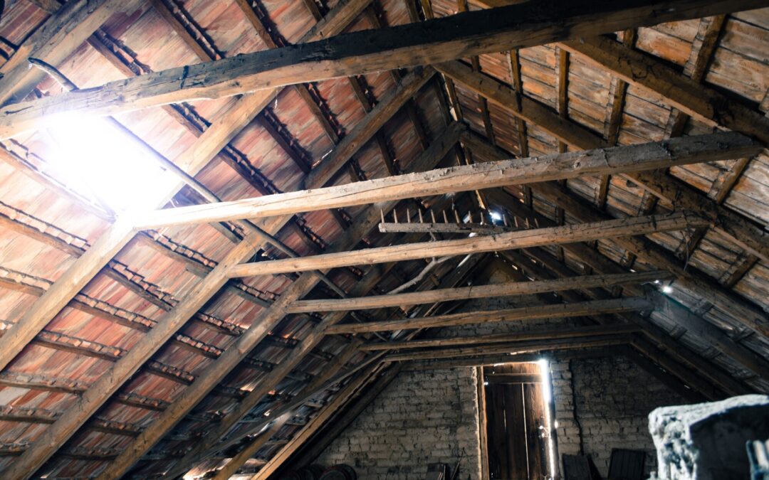 Home Attic Inspection